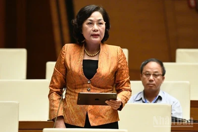 Thống đốc Ngân hàng Nhà nước Việt Nam Nguyễn Thị Hồng phát biểu. (Ảnh: DUY LINH)