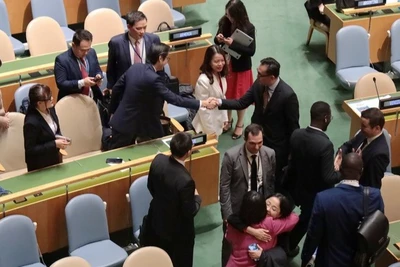 Nhiều nước thành viên Liên hợp quốc tới chia vui với kết quả phiếu bầu rất cao của Việt Nam. (Ảnh: TTXVN)