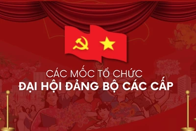 [Infographic] Lộ trình tổ chức Đại hội đảng bộ các cấp tiến tới Đại hội XIV của Đảng