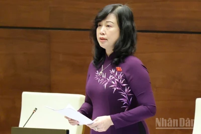 Bộ trưởng Y tế Đào Hồng Lan phát biểu. (Ảnh: DUY LINH)