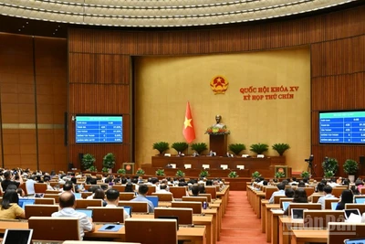 Quốc hội biểu quyết thông qua Luật sửa đổi, bổ sung một số điều của Luật Xử lý vi phạm hành chính. (Ảnh: THỦY NGUYÊN)