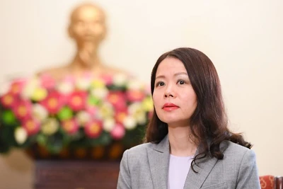Thứ trưởng Ngoại giao Nguyễn Minh Hằng. (Ảnh: Bộ Ngoại giao)