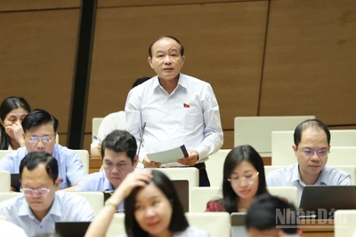 Đại biểu Lã Thanh Tân (Hải Phòng) phát biểu. (Ảnh: DUY LINH)