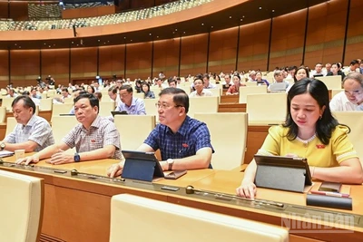 Các đại biểu Quốc hội bấm nút thông qua Luật Thuế tiêu thụ đặc biệt (sửa đổi). (Ảnh: DUY LINH)