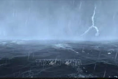 Các tỉnh miền Nam Trung Quốc kích hoạt cảnh báo khẩn cấp do bão Wipha