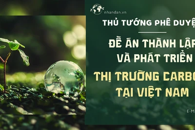 Thủ tướng phê duyệt Đề án thành lập và phát triển thị trường carbon tại Việt Nam