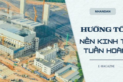 Hướng tới nền kinh tế tuần hoàn
