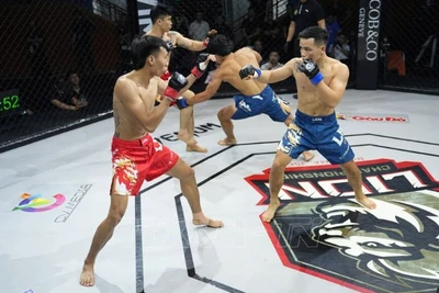 Một trận tranh tài của các võ sĩ tại loạt trận khai mạc LION Championship năm nay. (Ảnh: TTXVN)