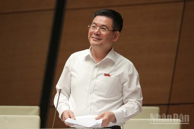 Bộ trưởng Công thương Nguyễn Hồng Diên phát biểu tại phiên họp. (Ảnh: DUY LINH)