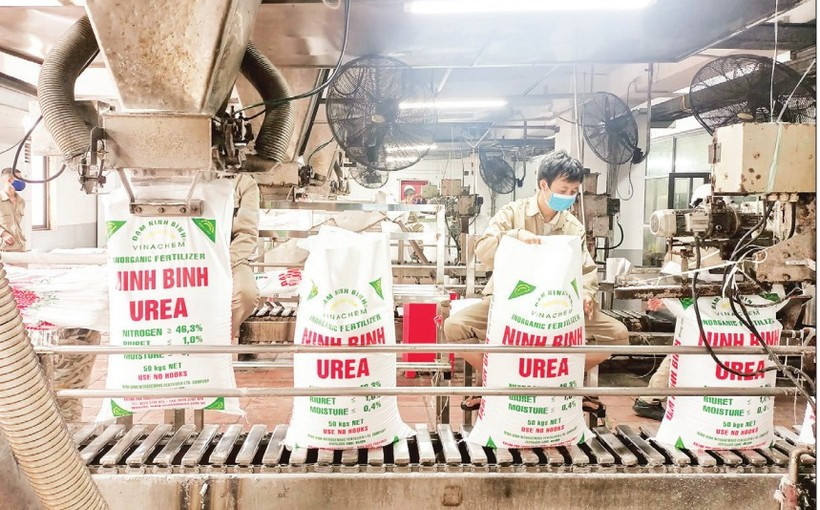 Sản xuất phân đạm Urê tại Công ty Trách nhiệm hữu hạn một thành viên Đạm Ninh Bình (Tập đoàn Hóa chất Việt Nam). 