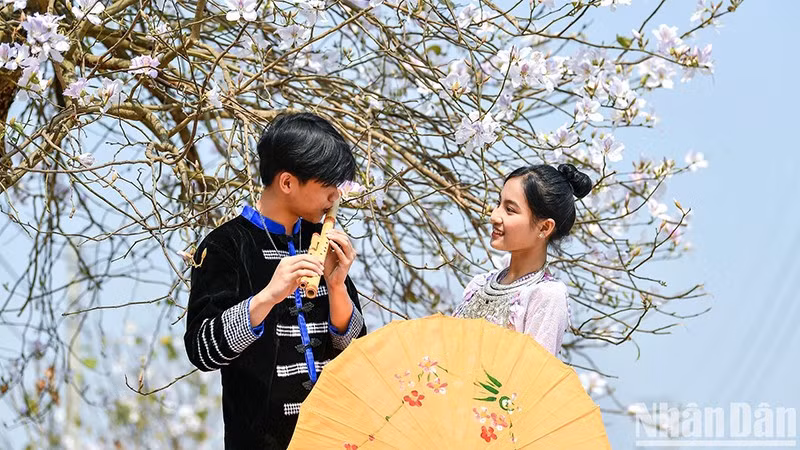 Ảnh minh họa: THÀNH ĐẠT 