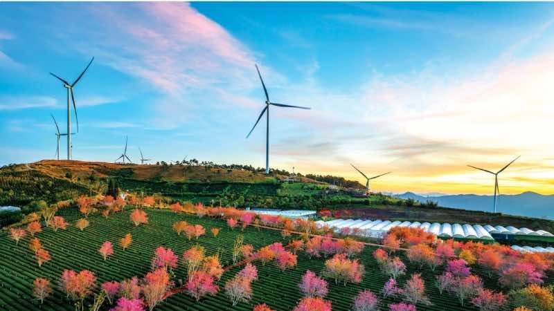 Lê Hoàng Mến (Việt Nam) Du lịch xanh - Green tourism.