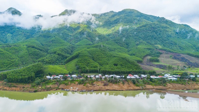 BIODEV2030 từng bước đưa bảo tồn đa dạng sinh học trở thành động lực thúc đẩy chuyển đổi sản xuất trong lâm nghiệp và thủy sản.