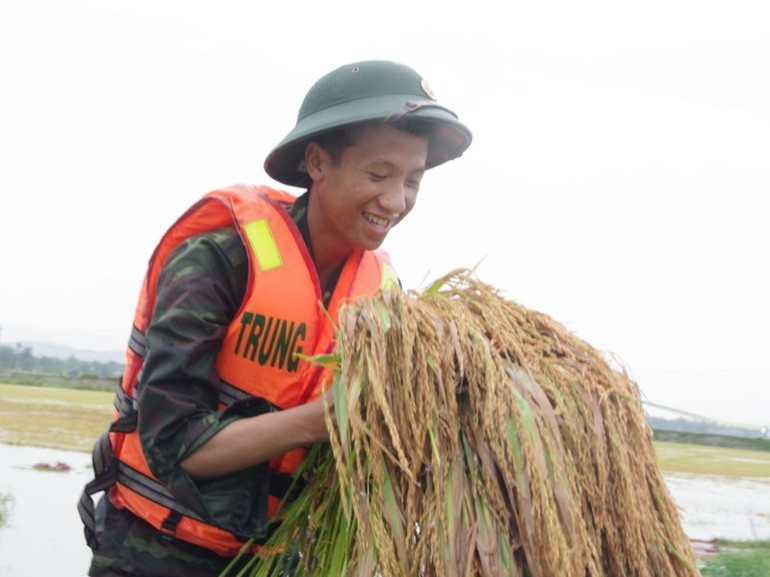 Tận mắt chứng kiến hàng trăm bộ đội bì bõm giữa đồng, bà Nguyễn Thị Thanh, người dân xã Thủy Tân bày tỏ: “Có các anh về hỗ trợ, bà con vui mừng lắm, cảm ơn các chiến sĩ nhiều lắm”. imgp-08-5535.jpg