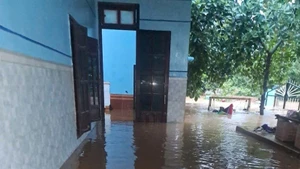Hơn 300 ngôi nhà của xã Đại Hưng, huyện Đại Lộc, tỉnh Quảng Nam bị ngập dưới 1m.