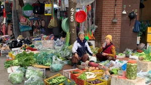 Nhiều hộ kinh doanh đã quen với cơ chế khoán, nơi họ không cần kê khai chi tiết và ít bị kiểm tra.