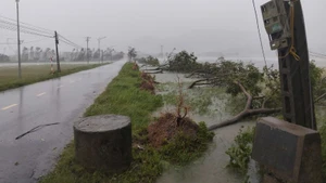 Tính đến 19 giờ ngày 25/8, bão số 5 đã đi vào đất liền Hà Tĩnh với sức gió mạnh nhất cấp 10-11, giật cấp 13. (Ảnh: Nhandan.vn)