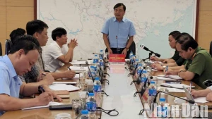 Thứ trưởng Bộ Nông nghiệp và Môi trường Nguyễn Hoàng Hiệp chỉ đạo tại cuộc họp chiều 11/6.