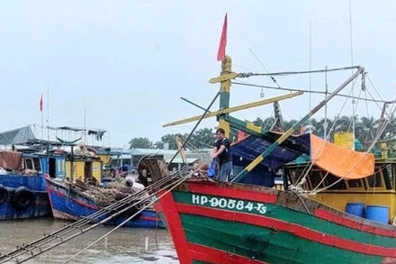 Thành phố Hải Phòng yêu cầu bảo đảm 100% tàu cá đã đăng ký phải viết biển số, đánh dấu tàu cá theo quy định.