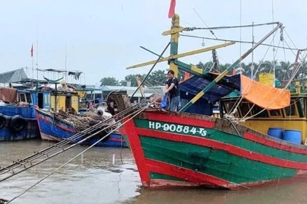 Ngư dân Hải Phòng neo đậu tàu thuyền, chủ động phòng tránh bão số 11.