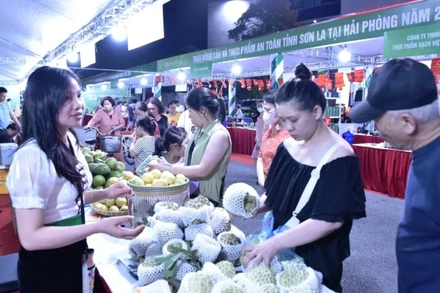 Các gian hàng nông sản Sơn La thu hút sự quan tâm của người tiêu dùng thành phố Hải Phòng.