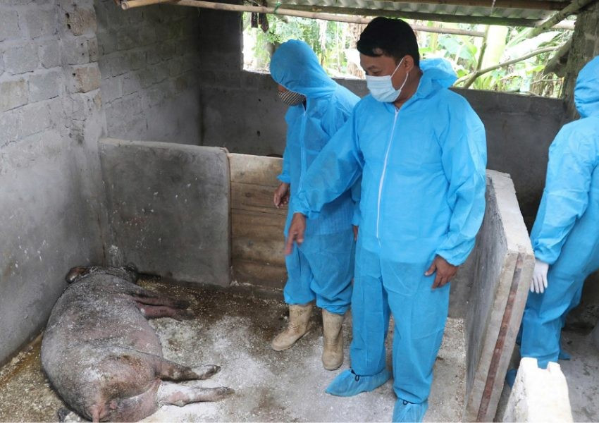 Các cấp chính quyền và lực lượng chức năng trong tỉnh đang nỗ lực kiểm soát và phòng, chống dịch.