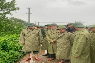 Các thành viên đoàn công tác kiểm tra đê tả sông Bưởi.