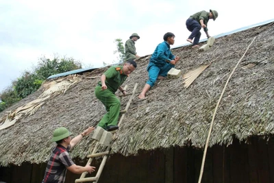 Lực lượng chức năng gia cố mái nhà cho người dân trước bão số 3. (Ảnh: TTXVN)