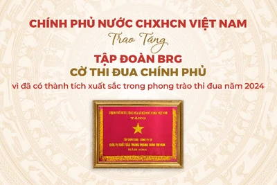 Tập đoàn BRG là tập đoàn kinh tế duy nhất của thành phố Hà Nội được trao tặng Cờ Thi đua Chính phủ năm 2024.