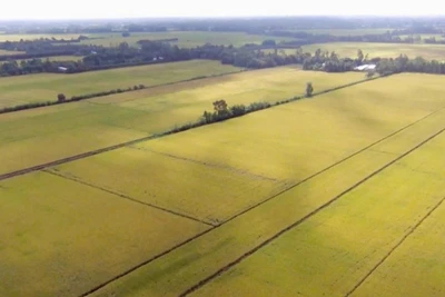 Phát huy vai trò giám sát chất lượng nguồn nước bảo đảm mục tiêu cung cấp nước sạch cho sản xuất và sinh hoạt