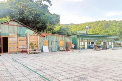 Cán bộ xã Nhôn Mai, tỉnh Nghệ An dựng các nhà tạm để ở.