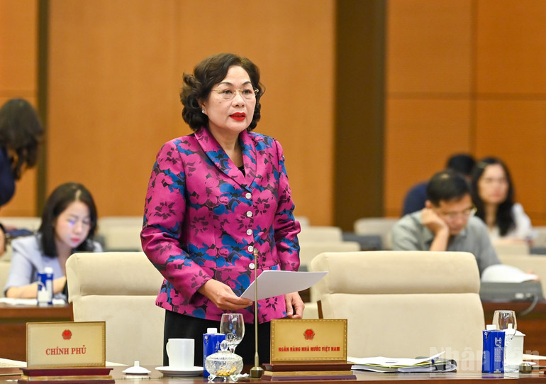Thống đốc Ngân hàng Nhà nước Việt Nam Nguyễn Thị Hồng. (Ảnh: DUY LINH) ndo_br_td-nguyen-thi-hong.jpg