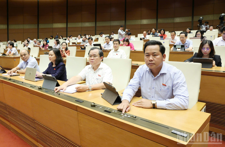 Đại biểu Quốc hội biểu quyết thông qua Luật. (Ảnh: DUY LINH) ndo_br_bieu-quye-luat-chat-luong-san-pham-1.jpg