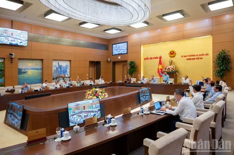 ndo_br_z61-4848-bieu-quyet.jpg