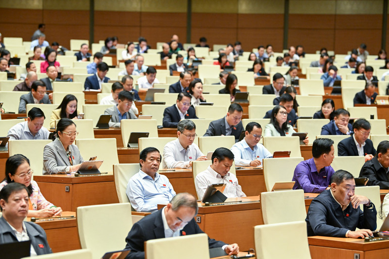 Các đại biểu dự phiên thảo luận sáng 24/10. (Ảnh: DUY LINH) bnd-2142.jpg