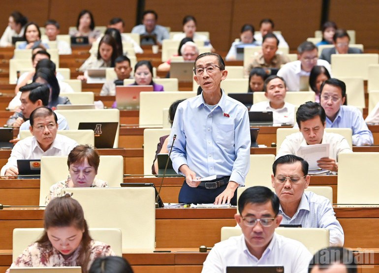 Đại biểu Trần Hoàng Ngân (Đoàn Thành phố Hồ Chí Minh). (Ảnh: DUY LINH) ndo_br_tran-hoang-ngan-hcm.jpg