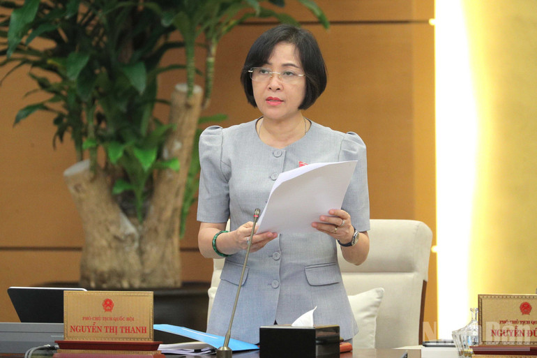 Phó Chủ tịch Quốc hội Nguyễn Thị Thanh phát biểu ý kiến. (Ảnh: DUY LINH) ndo_br_pho-chu-tich-quoc-hoi-nguyen-thi-thanh.jpg