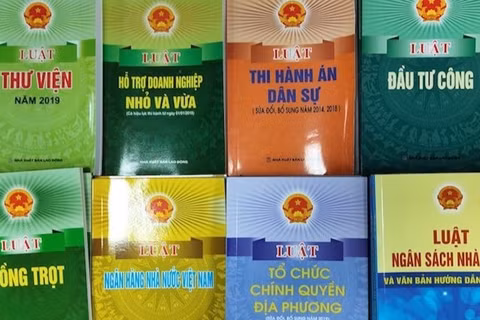 Nâng cao chất lượng kiểm tra, rà soát văn bản quy phạm pháp luật. (Ảnh minh họa. Nguồn: TT)