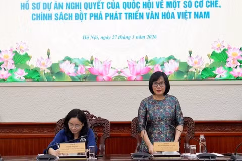 Thứ trưởng Tư pháp Đặng Hoàng Oanh phát biểu tại phiên họp. (Ảnh: TL)