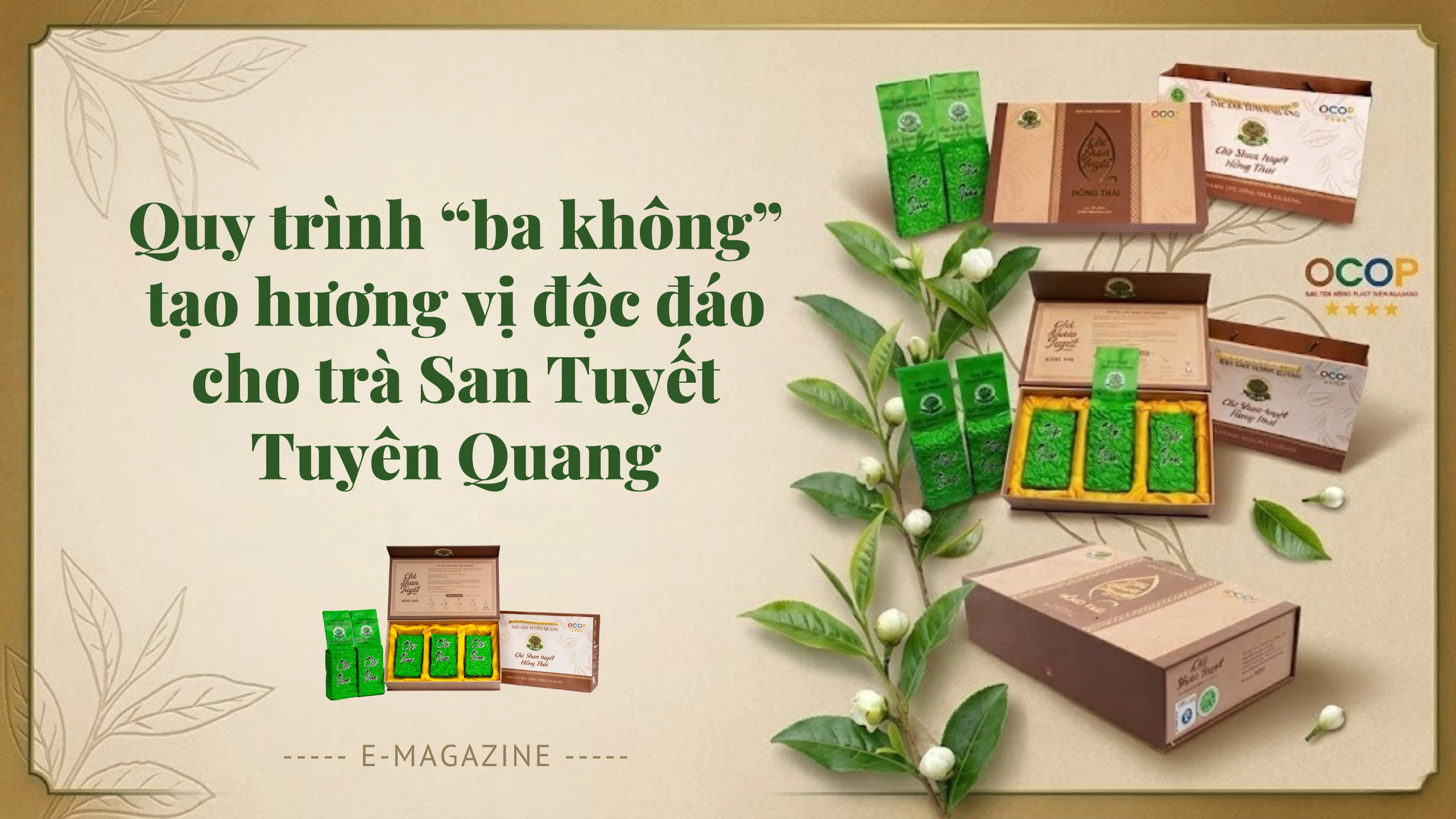 Trà Shan Tuyết Hồng Thái: Hương vị tinh túy từ xứ sương mù Tuyên Quang