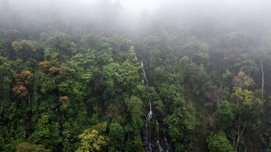 Hành trình giữ xanh đại ngàn Pù Mát