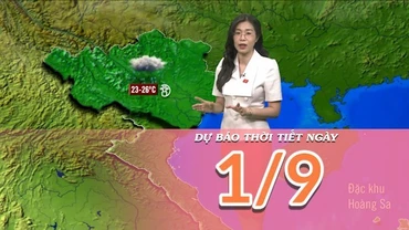 [Video] Dự báo thời tiết ngày 1/9/2025: Mưa giảm ở cả Bắc Bộ và Bắc Trung Bộ 