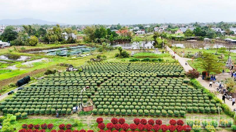Một góc làng hoa Hà Đông nhìn từ trên cao.