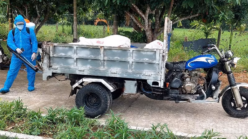 Thành phố Đà Nẵng triển khai quyết liệt, đồng bộ các giải pháp phòng chống bệnh dịch tả lợn châu Phi.