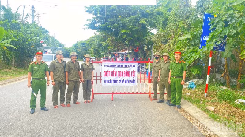 Xã Sơn Cẩm Hà lập chốt kiểm dịch động vật để kiểm soát dịch tả lợn châu Phi.