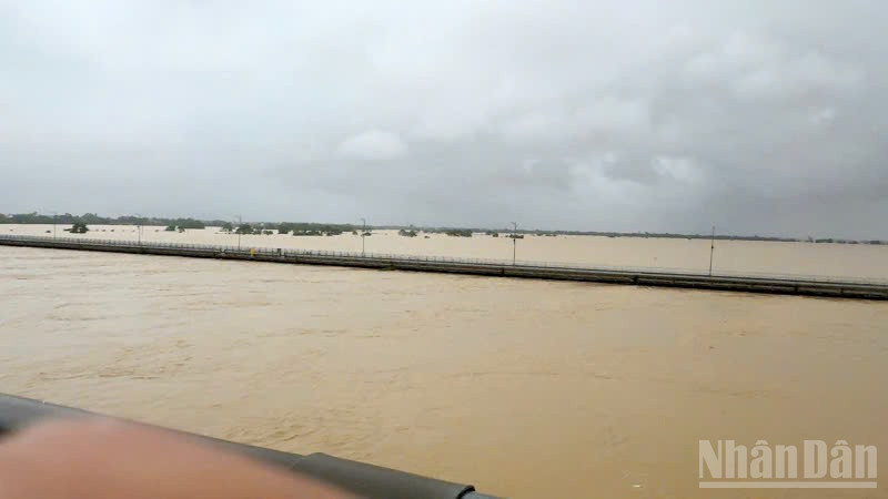 Nước sông Thu Bồn tại Câu Lâu ở mức xấp xỉ lũ lịch sử.