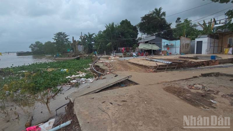 Sạt lở cù lao Mỹ Hòa Hưng ven sông Hậu.