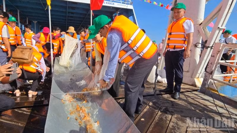 Thả cá ra sông Hậu tái tạo bổ sung nguồn cá tự nhiên.