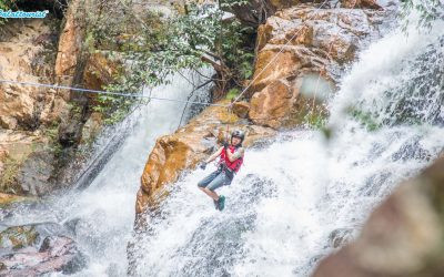  Dịch vụ du lịch Dalattourist