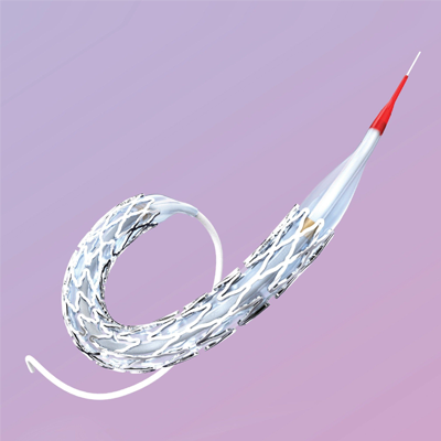 Giá đỡ (stent) mạch vành phủ thuốc Sirolimus VSTENT